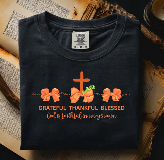Pumpkin Bows Grateful Thankful Blessed Comfort Color Shirts