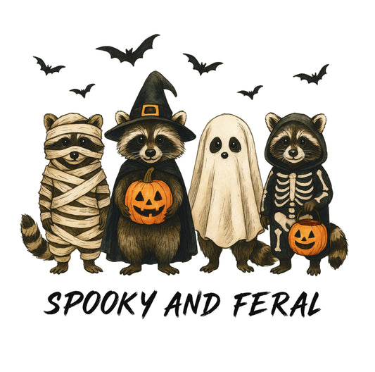 Spooky and Feral Raccoons (Youth)